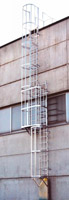 Scale Fisse con Gabbia